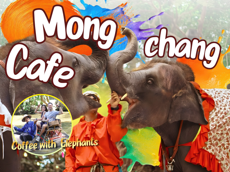 Mongchang Cafe