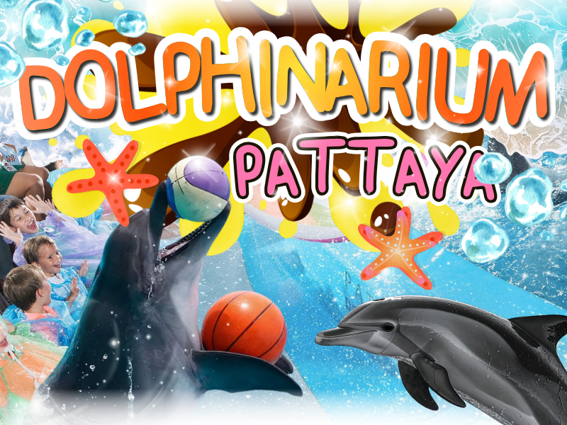 Pattaya Dolphinarium