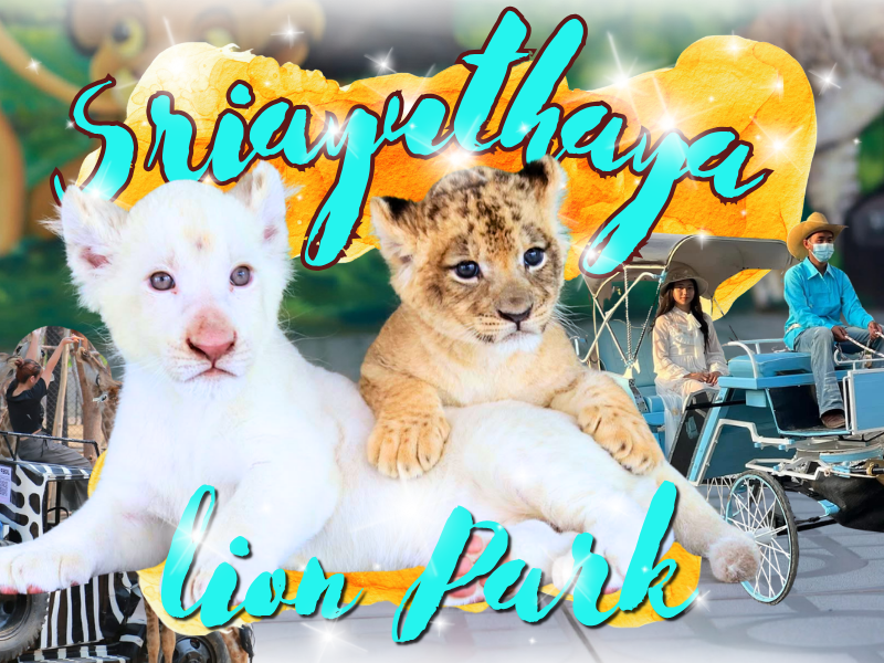 Sriayuthaya lion Park