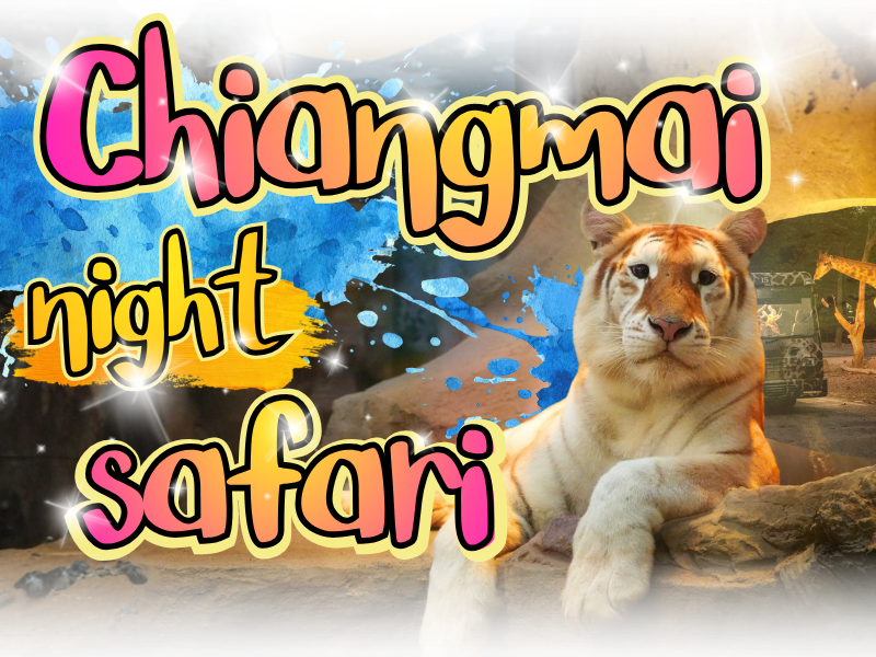 Chiang Mai Night Safari