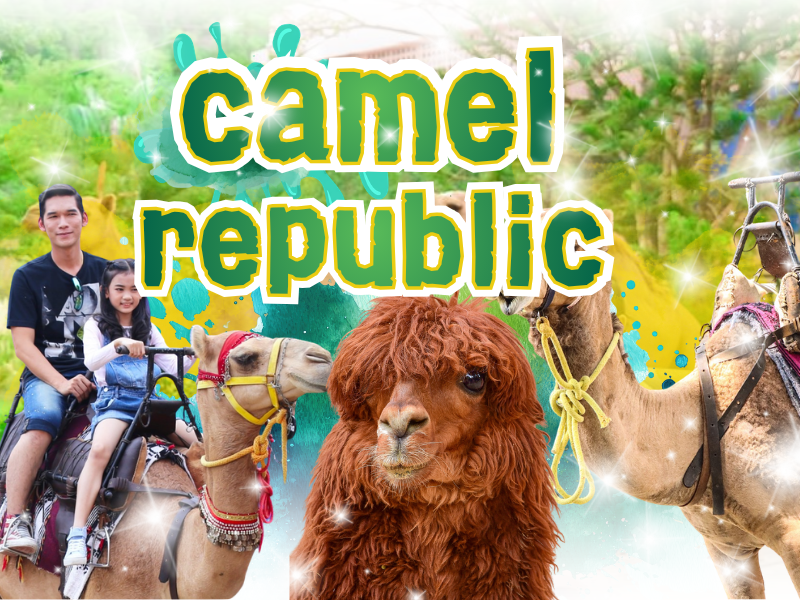 Camel Republic