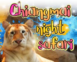 Chiang Mai Night Safari