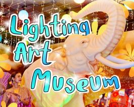 Lighting Art Museum