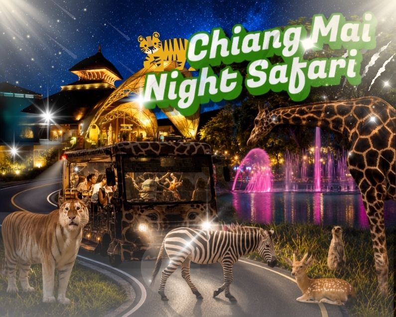 치앙마이 나이트 사파리 (Chiang Mai Night Safari)